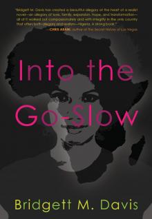 Into the Go Slow Read online