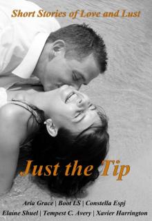 Just the Tip Short stories of love and lust