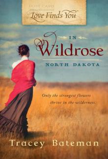 Love Finds You in Wildrose, North Dakota Read online