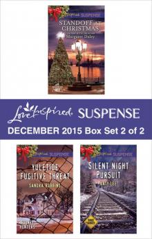 Love Inspired Suspense December 2015, Box Set 2 of 2 Read online