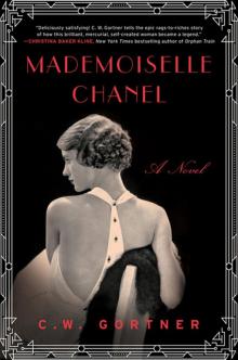 Mademoiselle Chanel Read online