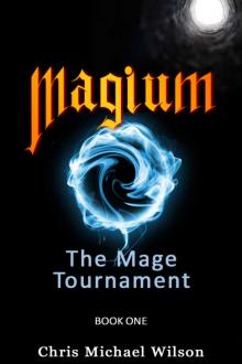 Magium: The Mage Tournament: Book 1
