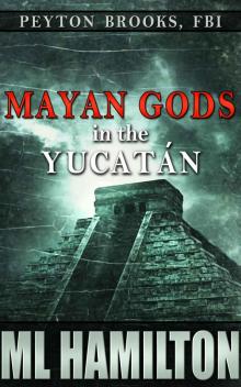 Mayan Gods in the Yucatan (Peyton Brooks, FBI Book 5) Read online