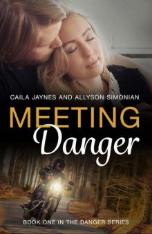 Meeting Danger (Danger #1)