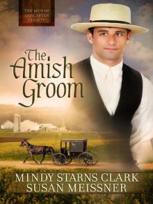 MEN OF LANCASTER COUNTY 01: The Amish Groom Read online