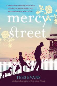 Mercy Street Read online