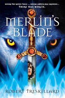 Merlin's Blade Read online