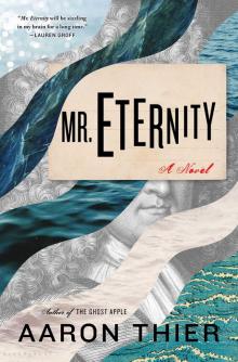 Mr. Eternity Read online