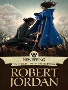 New Spring: The Novel Read online