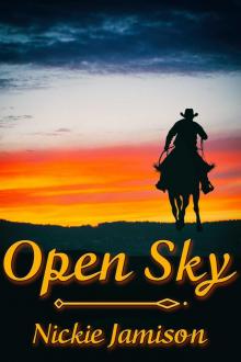 Open Sky Read online