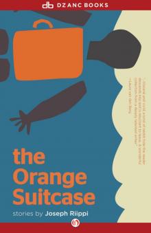 Orange Suitcase Read online