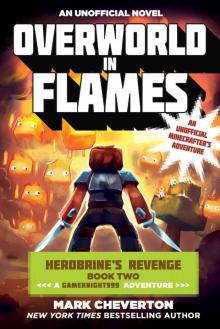 Overworld in Flames Read online