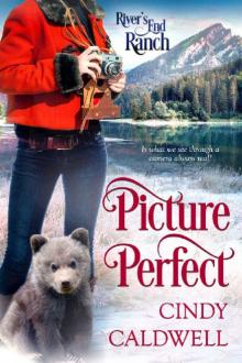 Picture Perfect (River's End Ranch Book 45) Read online