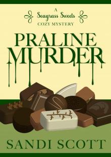 Praline Murder: A Seagrass Sweets Cozy Mystery (Book 4) Read online