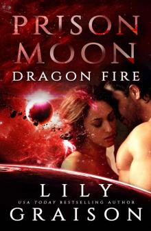 Prison Moon - Dragon Fire: An Alien Abduction Sci Fi Romance Read online
