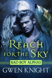 Reach for the Sky (Wolffe Peak Book 1) Read online