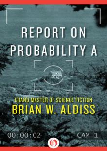 Report on Probability A Read online
