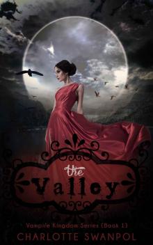 ROMANCE: Paranormal Romance: The Valley (Book One) (Fun, Sexy, Mature Young Adult Vampire Shape Shifter Romance)
