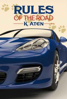 Rules of the Road Read online