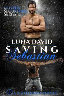 Saving Sebastian: A Catharsis Novel (Custos Securities Series Book 3)