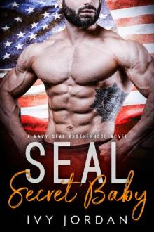 SEAL's Secret Baby Read online