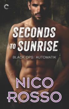 Seconds to Sunrise Read online