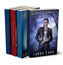 Series Firsts Box Set Read online