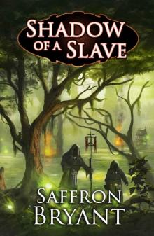 Shadow of a Slave (The Blood Mage Chronicles Book 1) Read online