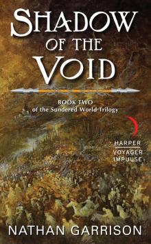 Shadow of the Void Read online