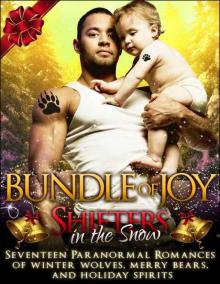 Shifters in the Snow: Bundle of Joy: Seventeen Paranormal Romances of Winter Wolves, Merry Bears, and Holiday Spirits