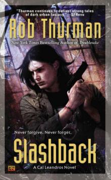 Slashback: A Cal Leandros Novel (CAL AND NIKO) Read online
