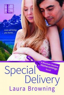 Special Delivery (Mountain Meadow Homecoming 1) Read online
