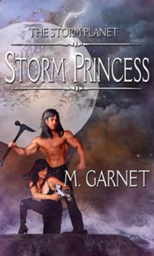 Storm Princess Read online