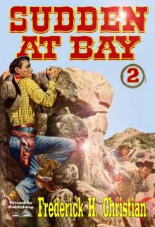 Sudden--At Bay (A Sudden Western #2)