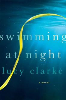 Swimming at Night: A Novel Read online