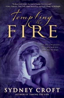 Tempting the Fire Read online