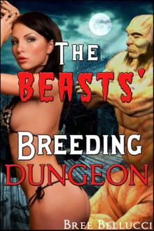 The Beasts' Breeding Dungeon (The Overlord's Depraved Tales) Read online
