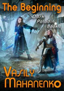 The Beginning (Dark Paladin Book #1) LitRPG Series Read online