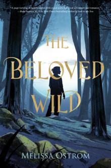 The Beloved Wild Read online