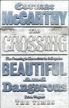 The Crossing tbt-2 Read online
