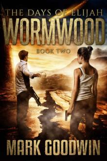 The Days of Elijah, Book Two: Wormwood: A Novel of the Great Tribulation in America Read online