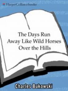 The Days Run Away Like Wild Horses