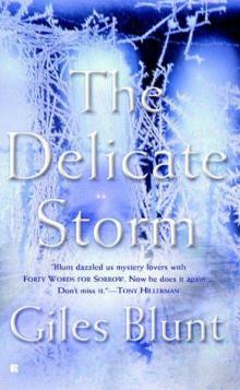 The Delicate Storm Read online