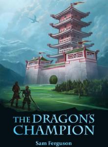 The Dragon's Champion Read online