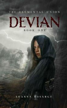 The Elemental Union: Book One Devian Read online