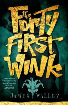 The Forty First Wink Read online