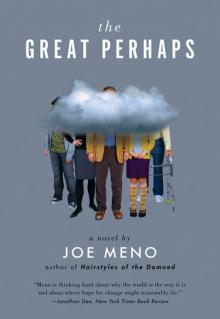 The Great Perhaps: A Novel Read online