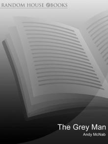 The Grey Man Read online