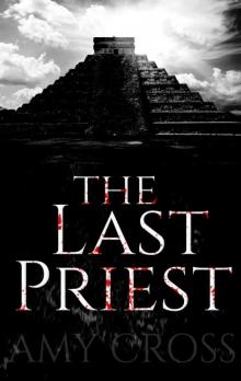 The Last Priest Read online
