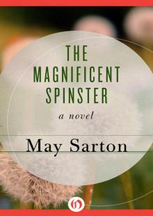 The Magnificent Spinster Read online